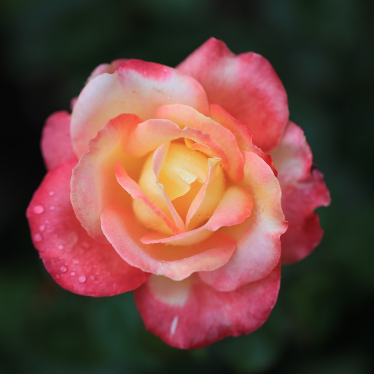 Start Living Sustainably