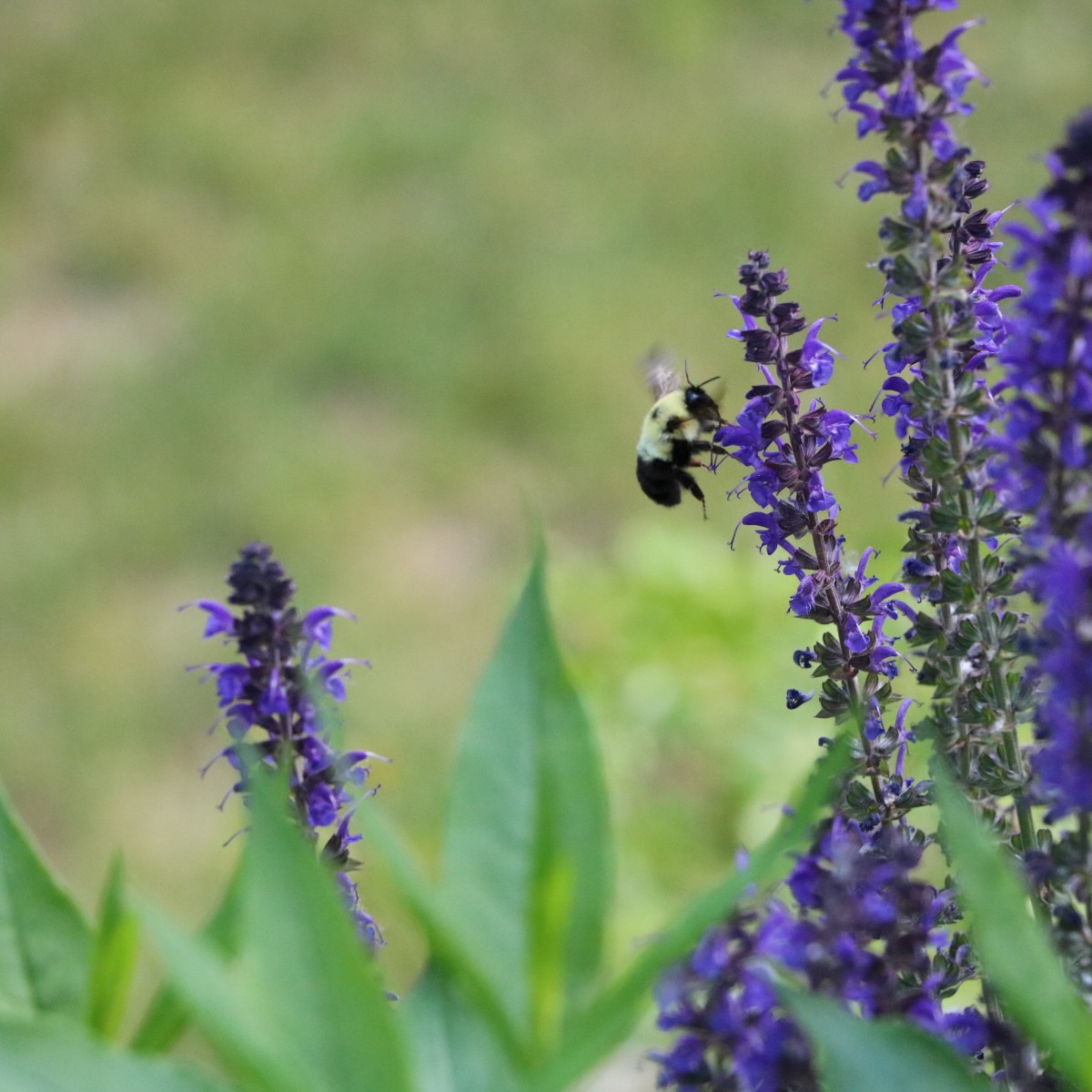 World Environment Day